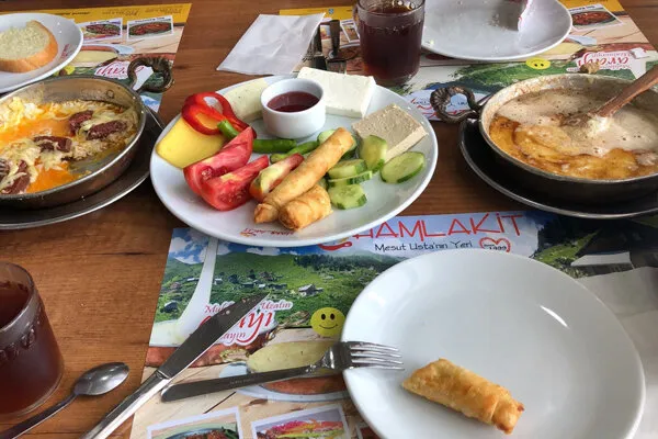 Hamlakit fotoğraf 3
